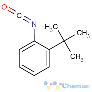CAS No:56309-60-5 1-tert-butyl-2-isocyanatobenzene