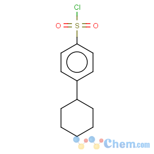 CAS No:56354-57-5 4-cyclohexylbenzenesulfonyl chloride