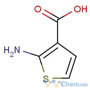 CAS No:56387-08-7 2-aminothiophene-3-carboxylic acid