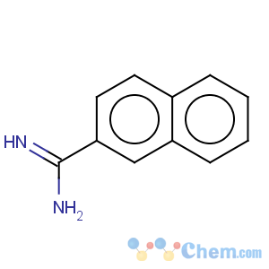CAS No:5651-14-9 2-Naphthalenecarboximidamide