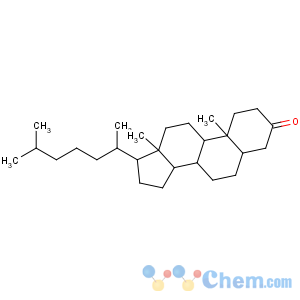 CAS No:566-88-1 (5S,8R,9S,10S,13R,14S,17R)-10,<br />13-dimethyl-17-[(2R)-6-methylheptan-2-yl]-1,2,4,5,6,7,8,9,11,12,14,15,<br />16,17-tetradecahydrocyclopenta[a]phenanthren-3-one