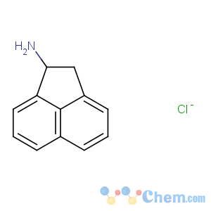 CAS No:5668-66-6 1-Acenaphthylenamine,1,2-dihydro-, hydrochloride (1:1)
