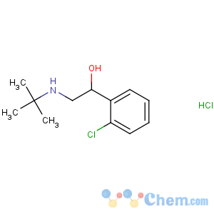 CAS No:56776-01-3 2-(tert-butylamino)-1-(2-chlorophenyl)ethanol