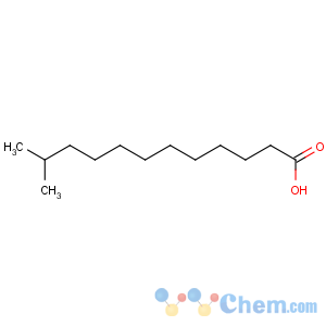 CAS No:5681-98-1 11-methyldodecanoic acid