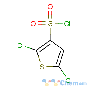 CAS No:56946-83-9 2,5-dichlorothiophene-3-sulfonyl chloride