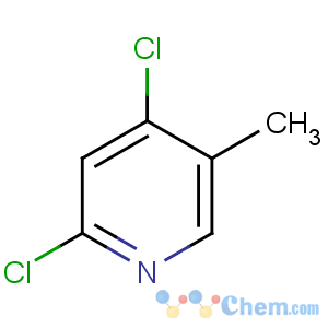 CAS No:56961-78-5 2,4-dichloro-5-methylpyridine