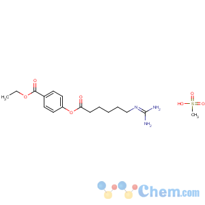 CAS No:56974-61-9 ethyl 4-[6-(diaminomethylideneamino)hexanoyloxy]benzoate