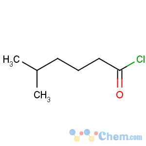 CAS No:5699-78-5 5-methylhexanoyl chloride