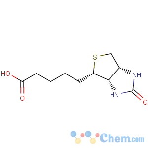 CAS No:57378-70-8 biotin
