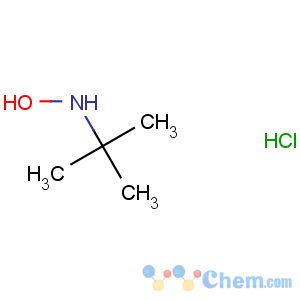 CAS No:57497-39-9 N-tert-butylhydroxylamine