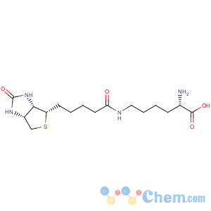 CAS No:576-19-2 Biocytin