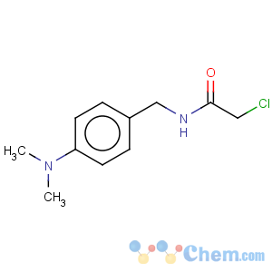 CAS No:57678-38-3 2-chloro-N-[4-(dimethylamino)benzyl]acetamide