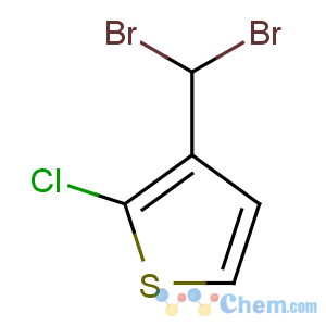 CAS No:57846-02-3 2-chloro-3-(dibromomethyl)thiophene