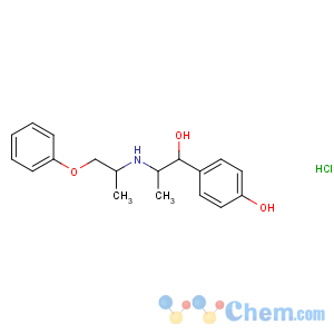 CAS No:579-56-6 4-[1-hydroxy-2-(1-phenoxypropan-2-ylamino)propyl]phenol