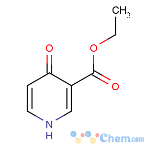CAS No:57905-31-4 ethyl 4-oxo-1H-pyridine-3-carboxylate