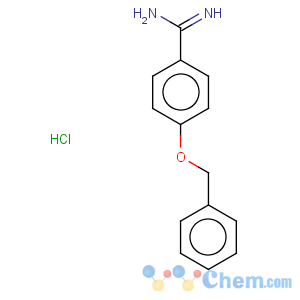 CAS No:57928-60-6 4-benzyloxy-benzamidine