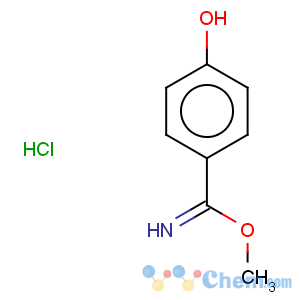 CAS No:57943-60-9 methyl 4-hydroxybenzimidate hydro-chloride