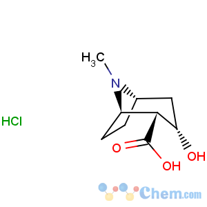 CAS No:5796-31-6 8-Azabicyclo[3.2.1]octane-2-carboxylicacid, 3-hydroxy-8-methyl-, hydrochloride (1:1), (1R,2R,3S,5S)-