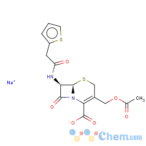 CAS No:58-71-9 Cefalotin sodium