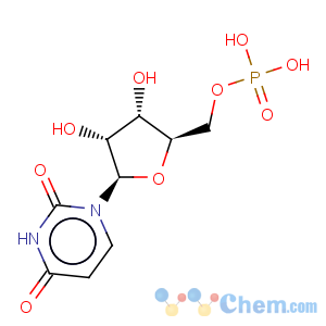 CAS No:58-97-9 5'-Uridylic acid