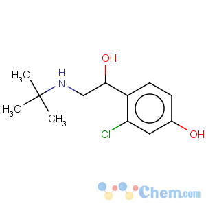 CAS No:58020-43-2 Benzenemethanol,2-chloro-a-[[(1,1-dimethylethyl)amino]methyl]-4-hydroxy-