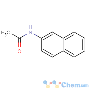 CAS No:581-97-5 N-naphthalen-2-ylacetamide