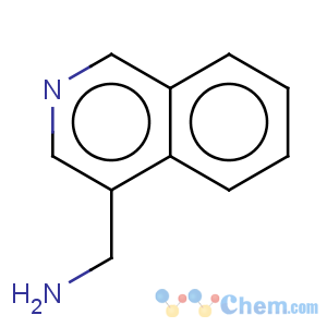 CAS No:58123-56-1 c-isoquinolin-4-yl-methylamine