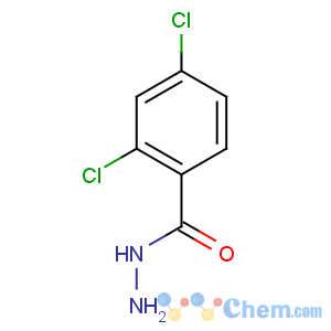 CAS No:5814-06-2 2,4-dichlorobenzohydrazide