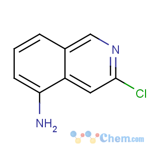 CAS No:58142-49-7 3-chloroisoquinolin-5-amine