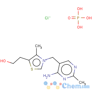 CAS No:582-38-7 3-[(4-ammonio-2-methyl-5-pyrimidinio)methyl]-5-(2-hydroxyethyl)-4-methylthiazolium phosphate