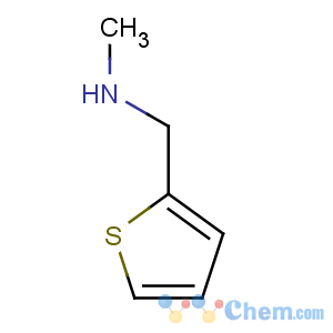 CAS No:58255-18-8 N-methyl-1-thiophen-2-ylmethanamine
