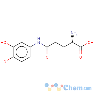 CAS No:58298-77-4 L-Glutamine,N-(3,4-dihydroxyphenyl)-