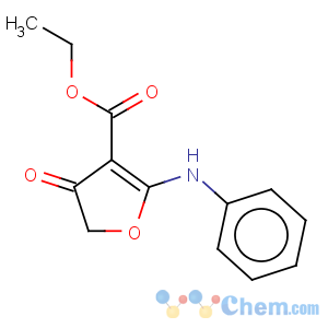 CAS No:58337-16-9 3-Furancarboxylic acid,4,5-dihydro-4-oxo-2-(phenylamino)-, ethyl ester