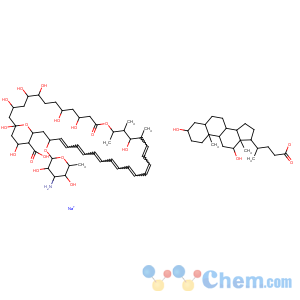 CAS No:58501-21-6 FUNGIZONE INTRAVENOUS			