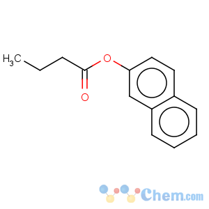 CAS No:5856-33-7 Butanoic acid,2-naphthalenyl ester