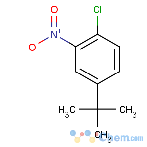 CAS No:58574-05-3 4-tert-butyl-1-chloro-2-nitrobenzene