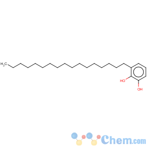 CAS No:5862-27-1 1,2-Benzenediol,3-heptadecyl-