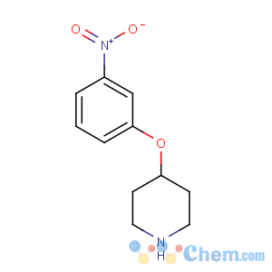 CAS No:586412-89-7 4-(3-nitrophenoxy)piperidine