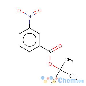 CAS No:58656-99-8 Benzoic acid, 3-nitro-,1,1-dimethylethyl ester