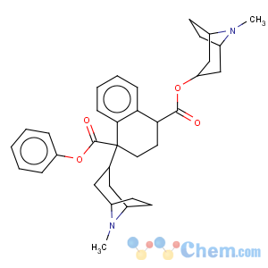 CAS No:5878-33-1 1,4-Naphthalenedicarboxylicacid, 1,2,3,4-tetrahydro-1-phenyl-,bis[(3-endo)-8-methyl-8-azabicyclo[3.2.1]oct-3-yl] ester, (1R,4S)-rel- (9CI)