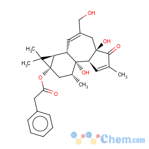 CAS No:58821-98-0 Benzeneacetic acid,(1aR,1bS,4aR,7aS,7bR,8R,9aS)-1,1a,1b,4,4a,5,7a,7b,8,9-decahydro-4a,7b-dihydroxy-3-(hydroxymethyl)-1,1,6,8-tetramethyl-5-oxo-9aH-cyclopropa[3,4]benz[1,2-e]azulen-9a-ylester