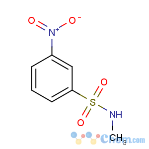 CAS No:58955-78-5 N-methyl-3-nitrobenzenesulfonamide