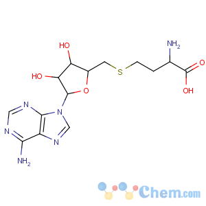 CAS No:58976-18-4 2-amino-4-[[(2S,3S,4R,5R)-5-(6-aminopurin-9-yl)-3,<br />4-dihydroxyoxolan-2-yl]methylsulfanyl]butanoic acid