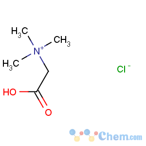 CAS No:590-46-5 carboxymethyl(trimethyl)azanium