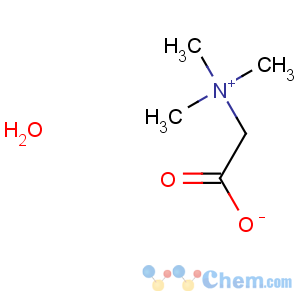 CAS No:590-47-6 Betaine monohydrate