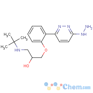 CAS No:59010-44-5 1-(tert-butylamino)-3-[2-(6-hydrazinylpyridazin-3-yl)phenoxy]propan-2-ol