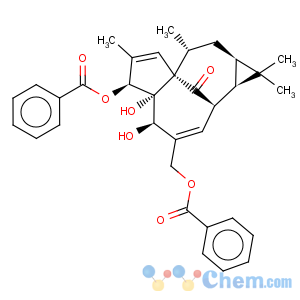 CAS No:59086-90-7 1H-2,8a-Methanocyclopenta[a]cyclopropa[e]cyclodecen-11-one,6-(benzoyloxy)-4-[(benzoyloxy)methyl]-1a,2,5,5a,6,9,10,10a-octahydro-5,5a-dihydroxy-1,1,7,9-tetramethyl-,(1aR,2S,5R,5aR,6S,8aS,9R,10aR)-
