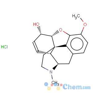 CAS No:5916-29-0 codeine hydrochloride