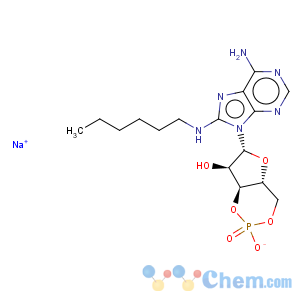 CAS No:59212-44-1 Adenosine,8-(hexylamino)-, cyclic 3',5'-(hydrogen phosphate) (9CI)