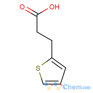 CAS No:5928-51-8 3-thiophen-2-ylpropanoic acid